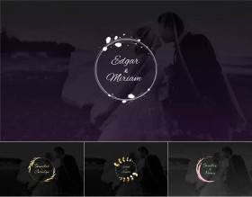 Pr字幕模板 11组4K优雅婚礼情人节文字标题 Pr图形模板